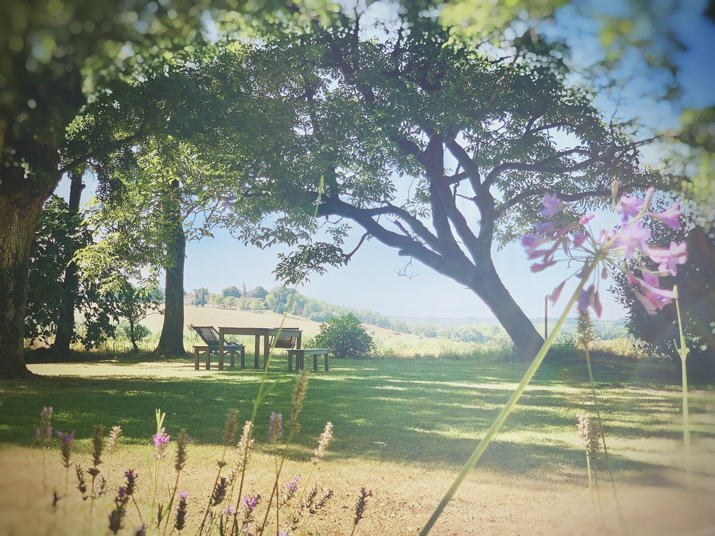 The farmhouse garden in the soft light of early evening